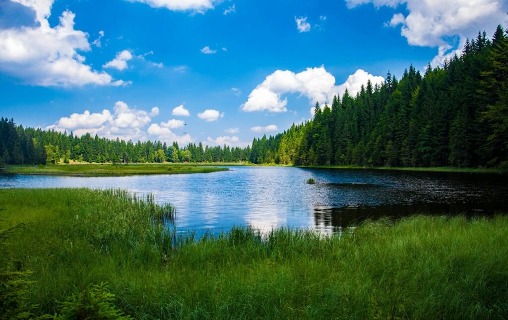 Beautiful landscape of a tranquil lake surrounded by dense green forest under a clear blue sky.