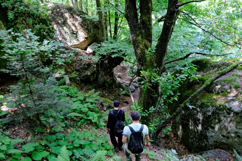 Two hikers exploring a verdant forest trail with large boulders and lush vegetation. Nature adventure.